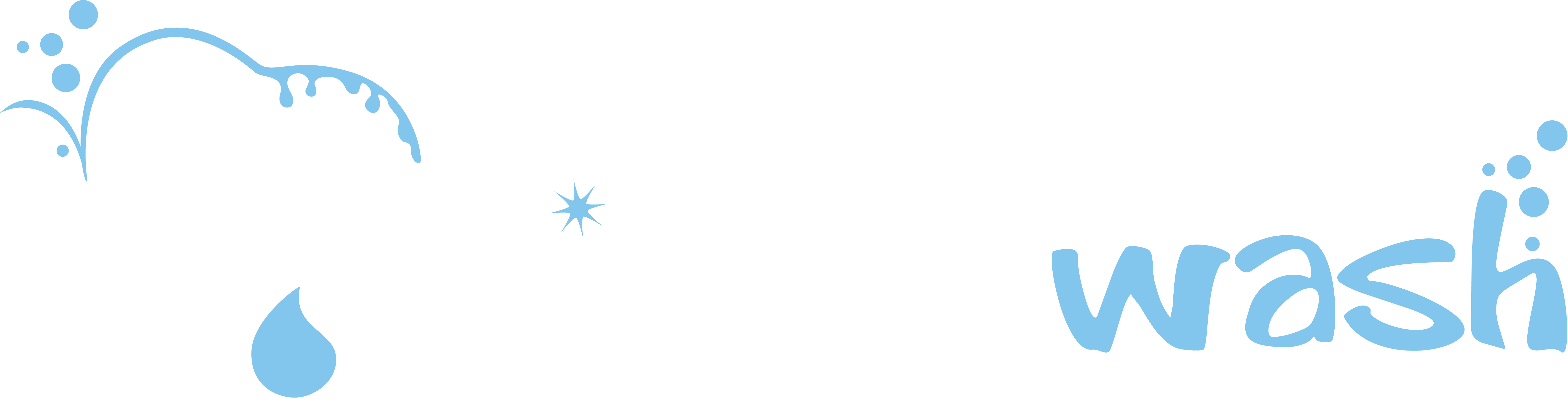 Village Wash